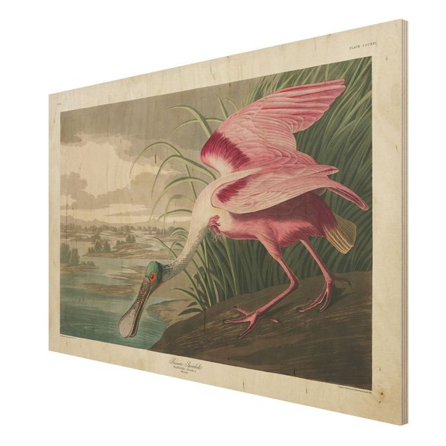 Print on wood - Vintage Board Pink Sturgeon