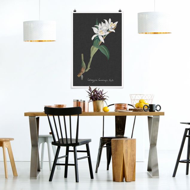 Poster - White Orchid On Linen II
