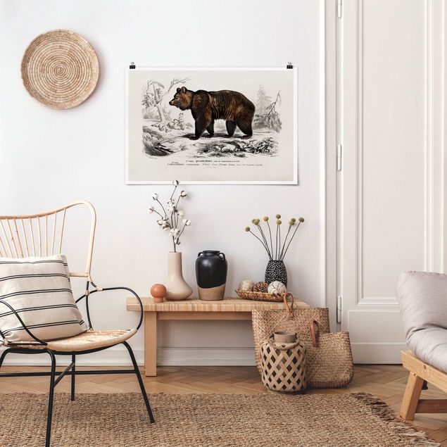 Poster - Vintage Board Brown Bear