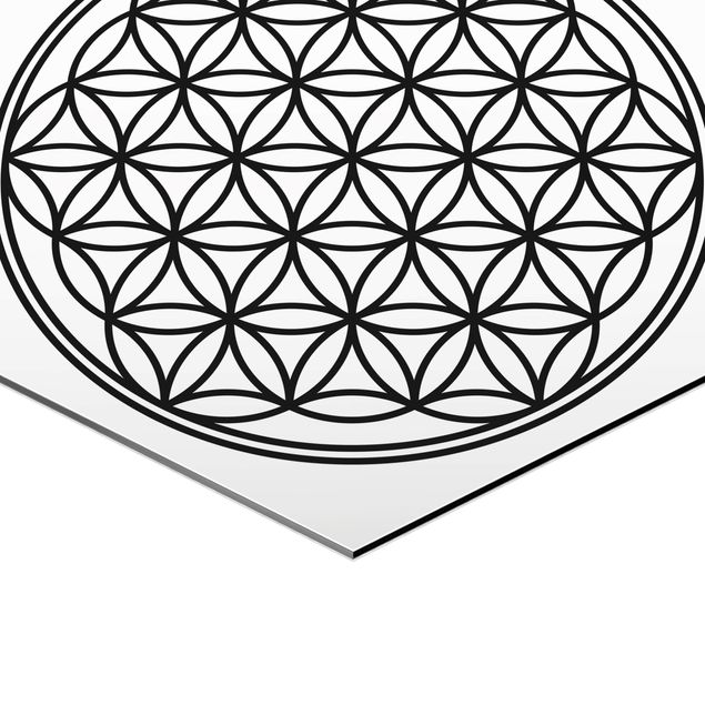 Alu-Dibond hexagon - Flower of Life