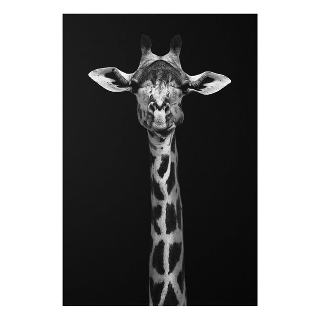 Forex print - Dark Giraffe Portrait