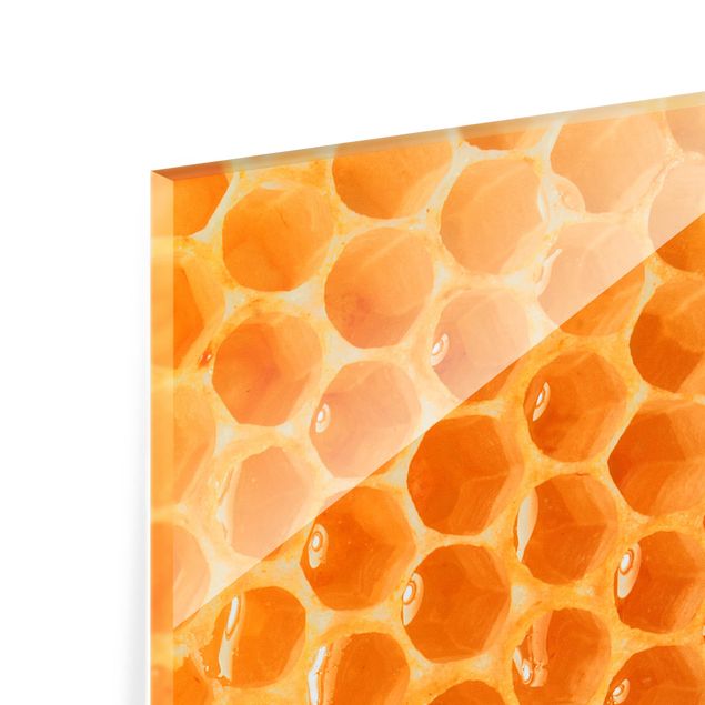 Glass Splashback - Honey Bee - Square 1:1