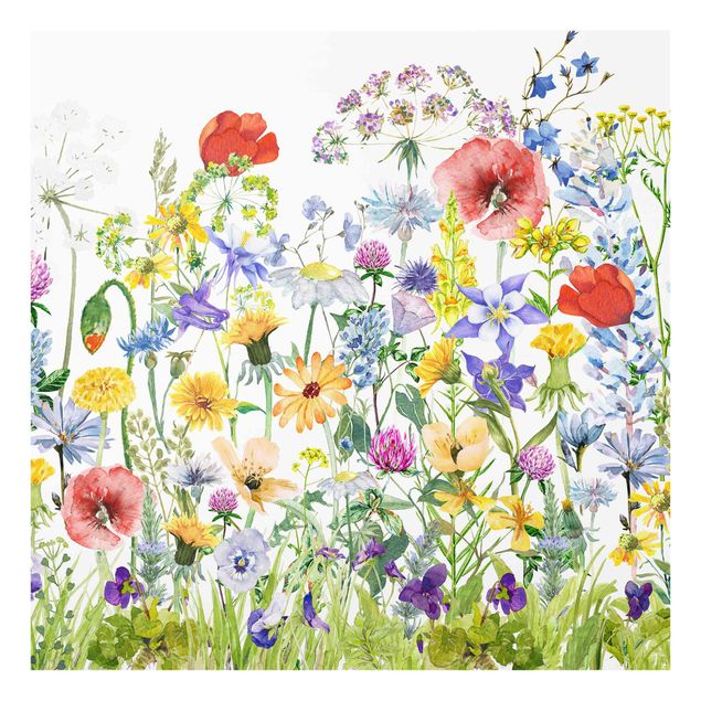 Splashback - Watercolour Flower Meadow - Square 1:1