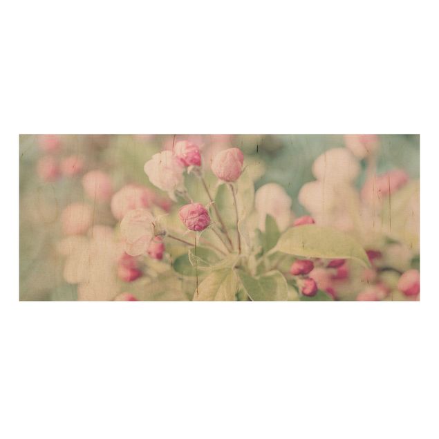 Print on wood - Apple Blossom Bokeh Light Pink