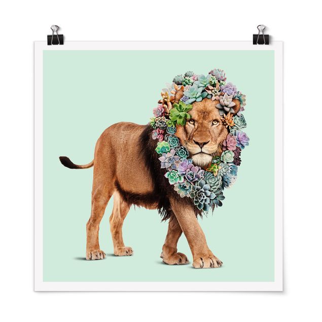 Poster - Lion With Succulents