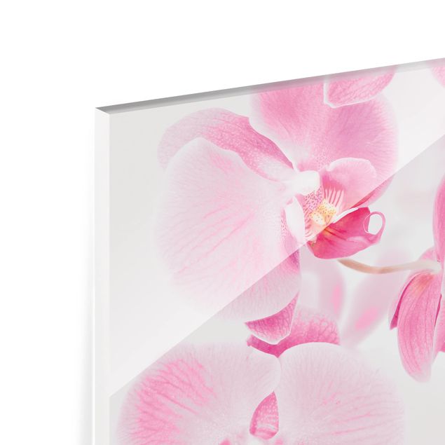 Glass Splashback - Delicate Orchids - Landscape 3:4