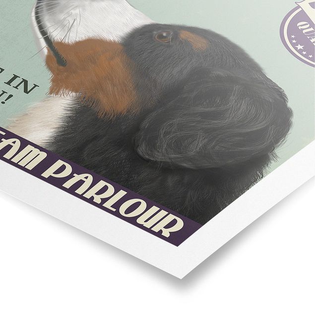 Poster - Bernese Mountain Dog With Ice