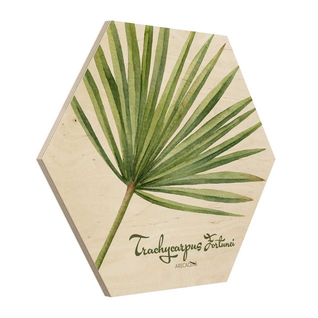 Wooden hexagon - Watercolour Botany Trachycarpus Fortunei