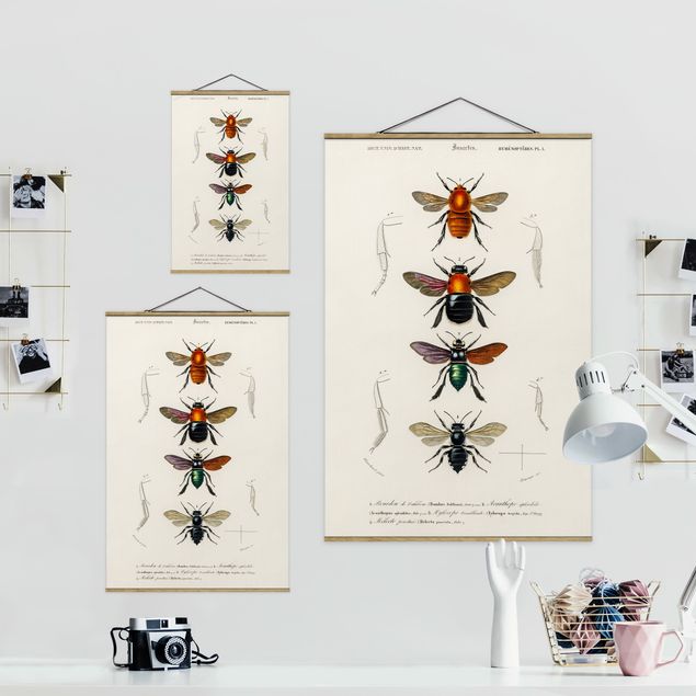 Fabric print with poster hangers - Vintage Board Insects