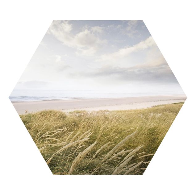 Forex hexagon - Divine Dunes