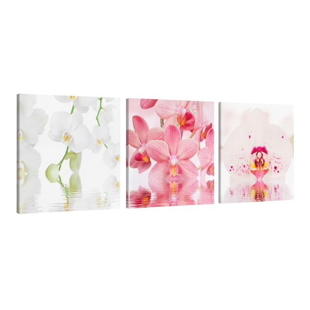 Print on canvas 3 parts - Orchids On Water