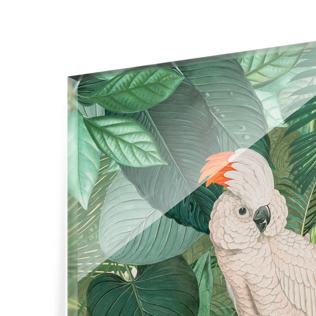 Glass Splashback - Vintage Collage - Cockatoo And Hummingbird - Landscape 3:4
