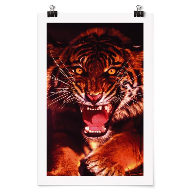 Poster animals - Wild Tiger