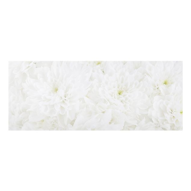 Splashback - Dahlias Sea Of Flowers White