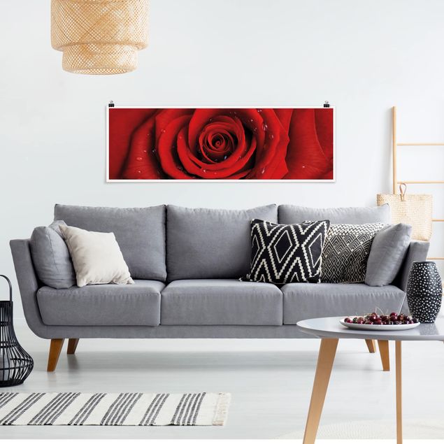 Poster - Red Rose With Water Drops