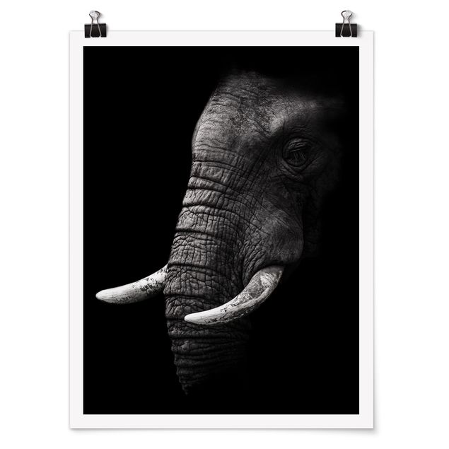 Poster animals - Dark Elephant Portrait
