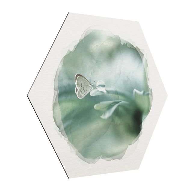 Alu-Dibond hexagon - WaterColours - Butterfly And Dew Drops In Pastel Green