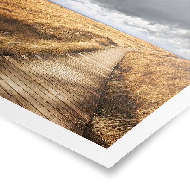 Poster - Path Between Dunes