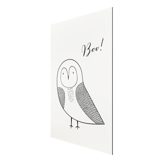 Alu-Dibond print - Owl Boo Drawing