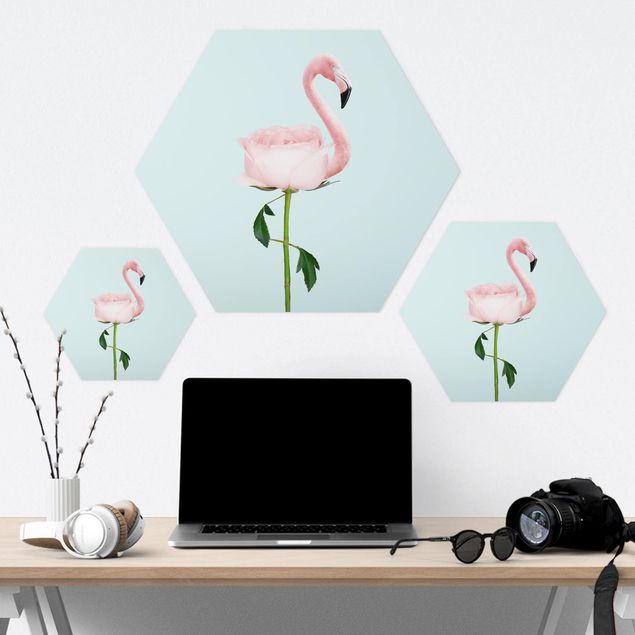 Forex hexagon - Flamingo With Rose