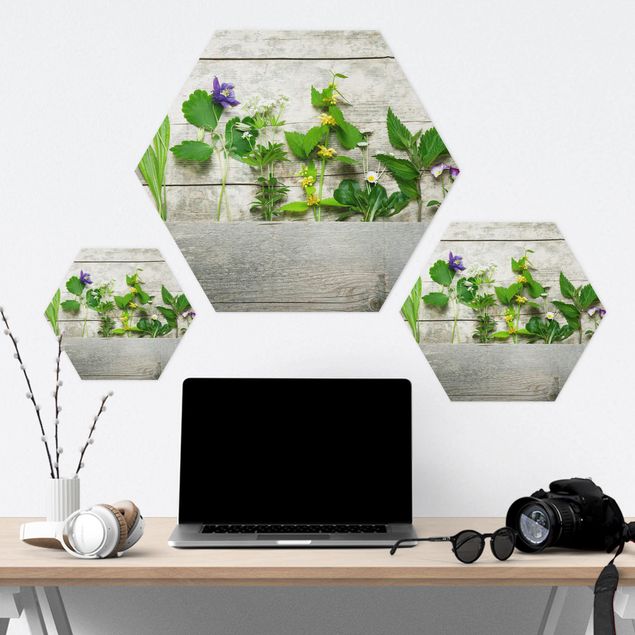 Forex hexagon - Medicinal and Meadow Herbs