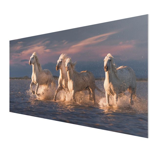 Forex print - Wild Horses In Kamargue