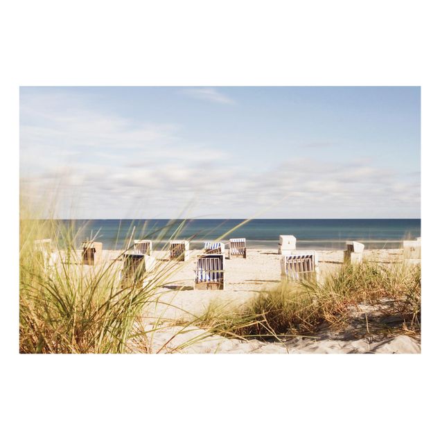 Splashback - Baltic Sea And Beach Baskets