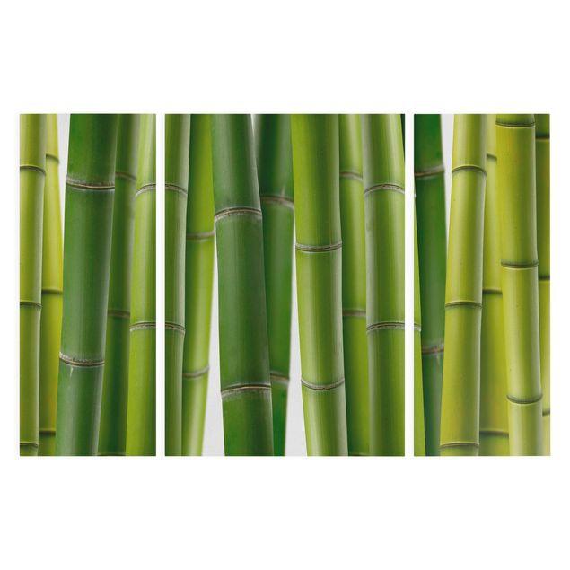 Print on canvas 3 parts - Bamboo Plants