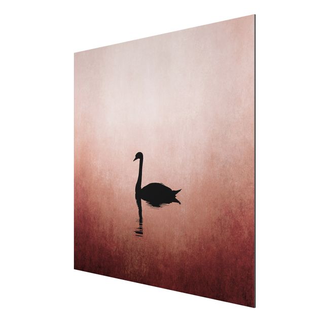 Alu-Dibond print - Swan In Sunset