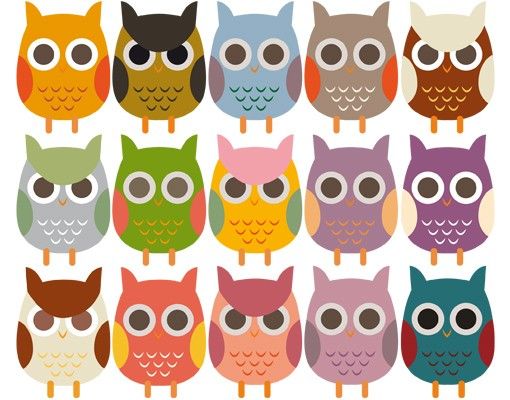 Wall stickers owl No.EK147 Owl Parade Set II