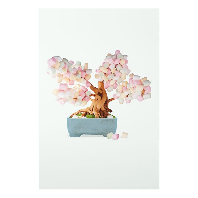 Print on forex - Bonsai With Marshmallows