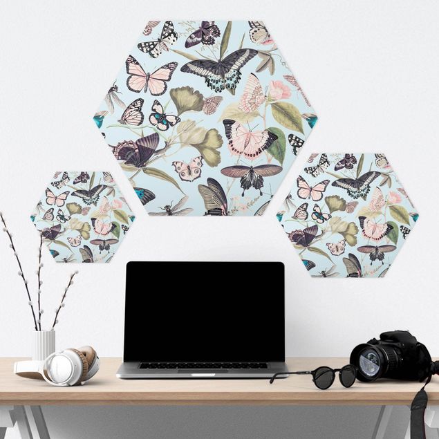 Hexagon Picture Forex - Vintage Collage - Butterflies And Dragonflies