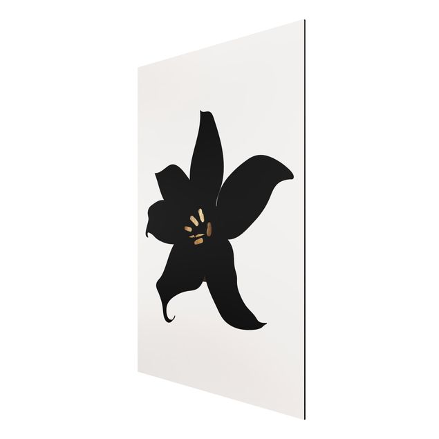 Alu-Dibond print flowers - Graphical Plant World - Orchid Black And Gold