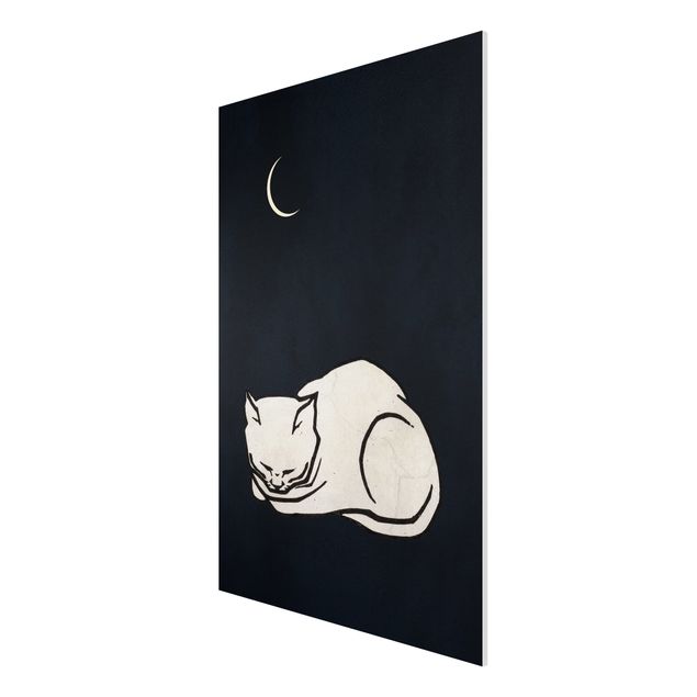 Print on forex - Sleeping Cat Illustration