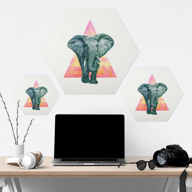 Forex hexagon - Illustration Elephant Front Triangle Painting