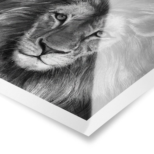 Poster - Illustration Lion Monochrome Painting