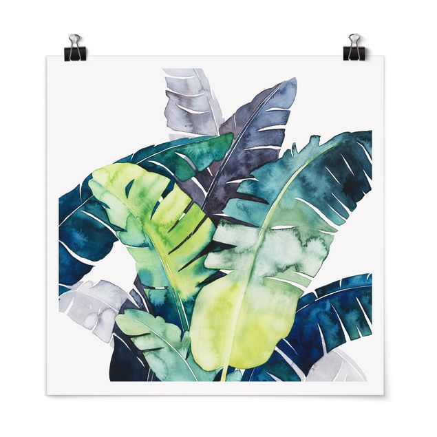 Poster - Exotic Foliage - Banana