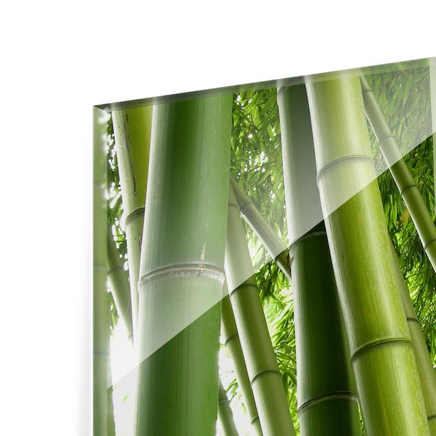Glass Splashback - Bamboo Trees - Landscape 3:4
