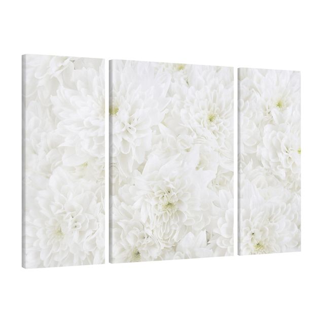 Print on canvas 3 parts - Dahlias Sea Of Flowers White