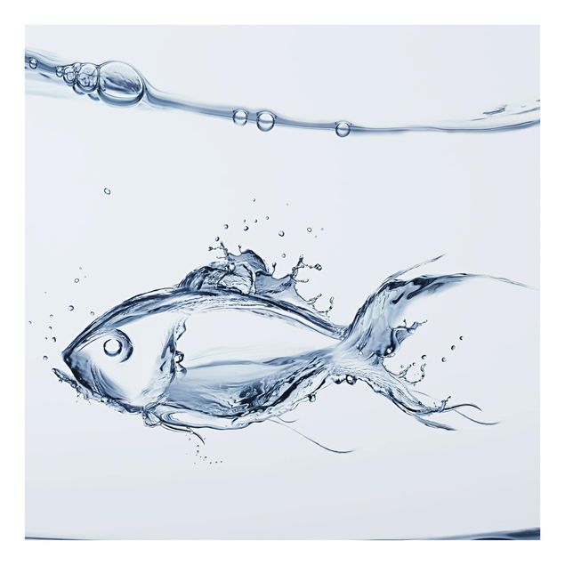 Glass Splashback - Liquid Silver Fish - Square 1:1