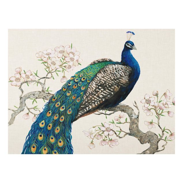 Glass Splashback - Vintage Peacock With Cherry Blossoms - Landscape 3:4