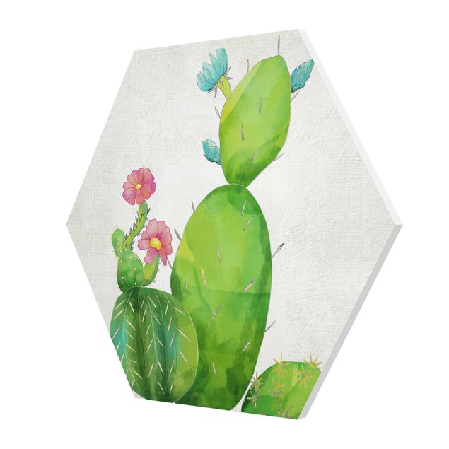 Forex hexagon - Cactus Family In Pink And Turquoise