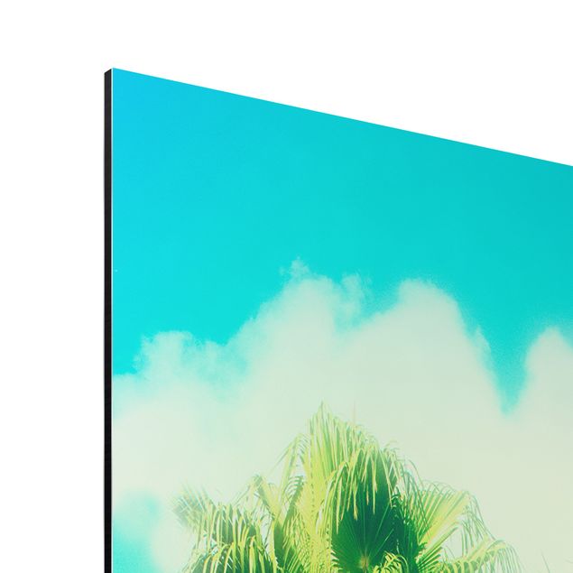 Print on aluminium - Palm Trees Against Blue Sky