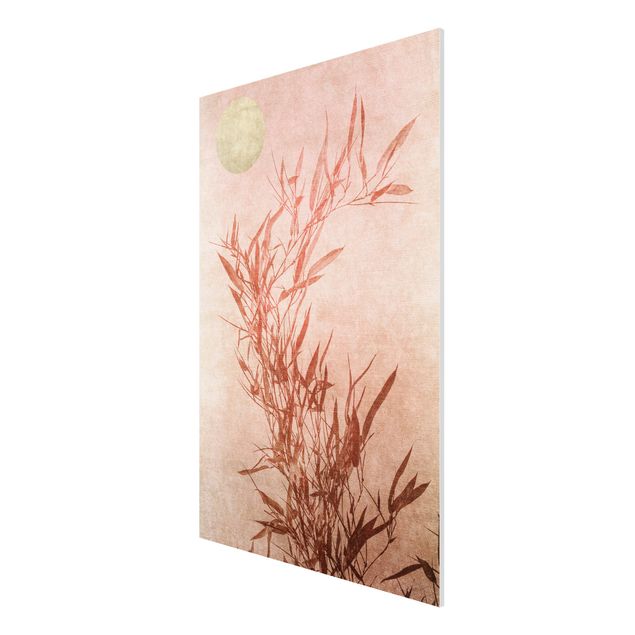 Print on forex - Golden Sun Pink Bamboo
