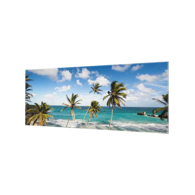 Splashback - Beach Of Barbados