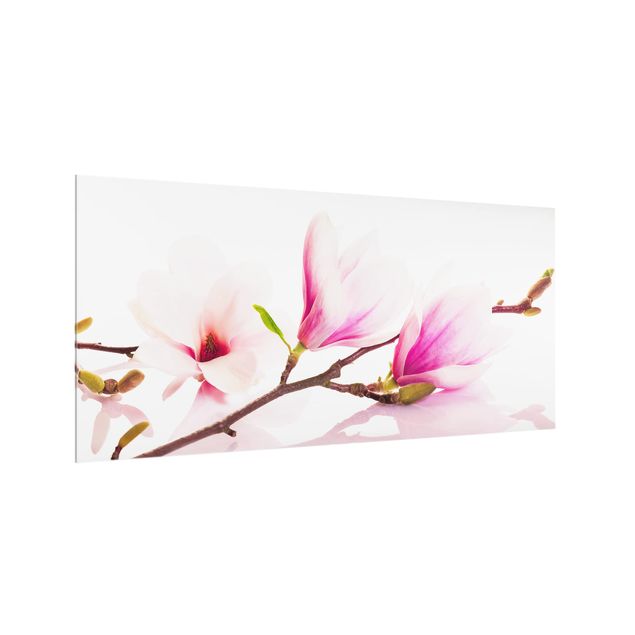 Splashback - Delicate Magnolia Branch
