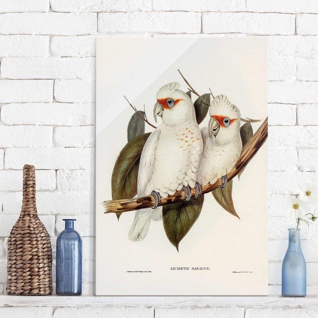 Glas Magnettafel Vintage Illustration White Cockatoo