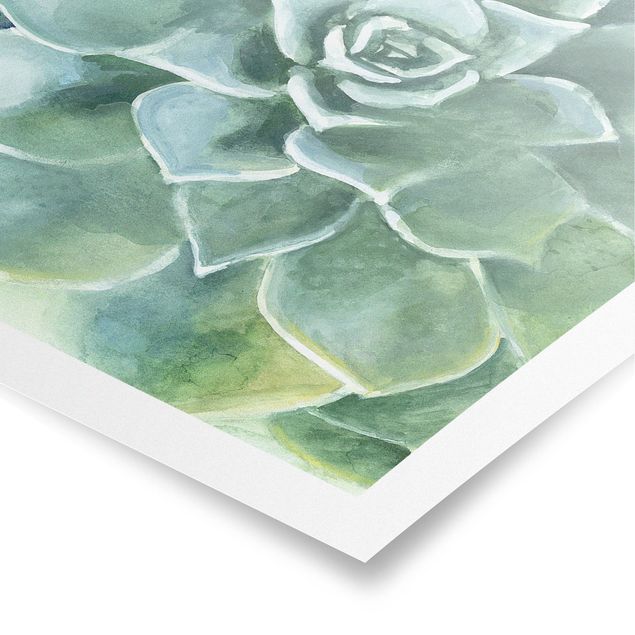 Poster flowers - Succulent Plant Watercolour Dark