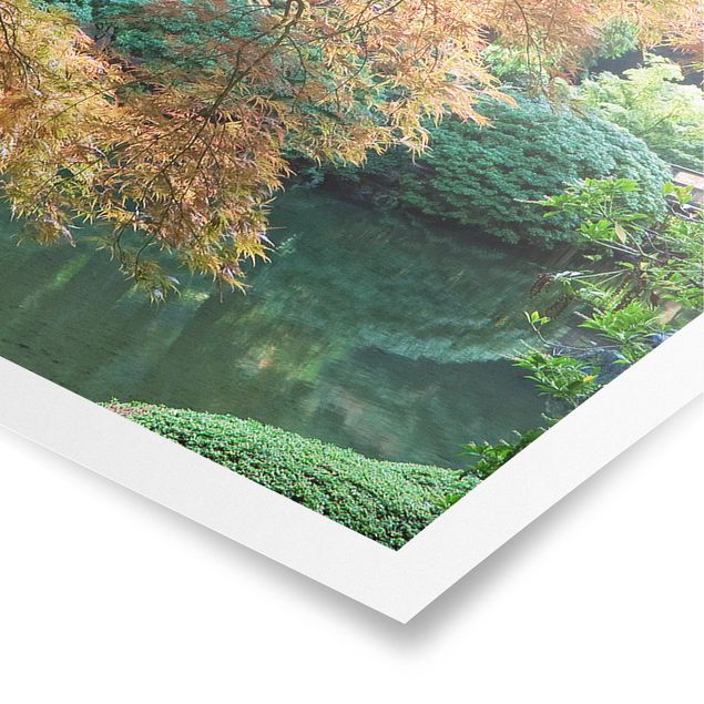 Panoramic poster forest - Japanese Garden