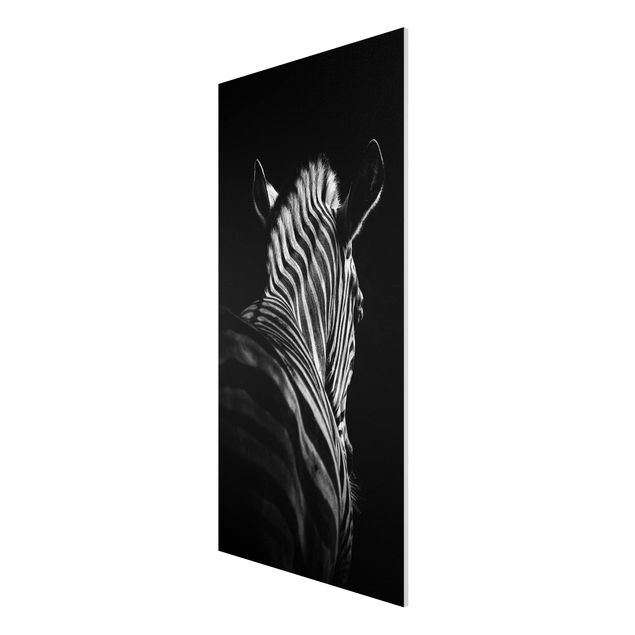 Forex print - Dark Zebra Silhouette